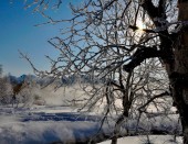 Изображение из альбома Путешествие на снегоходах в Налычевскую долину